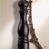 Molinillo de Sal 22cm - Paris U´Select