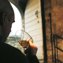 Copa de Degustación 380ml - Taster