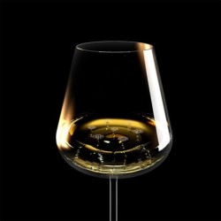 Set of 2 Wine Glasses - Etoile Blanc Excellence