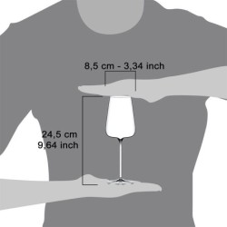 Set of 2 Wine Glasses - Etoile Blanc Excellence