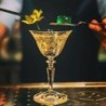 Juego de 6 Copas - Wormwood Astoria Pattern