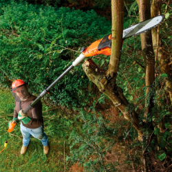 Eletroserra de Poda com Fio 800W 25cm