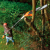 800W Electric Pole Saw 25cm