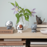 CAT COOL GREY