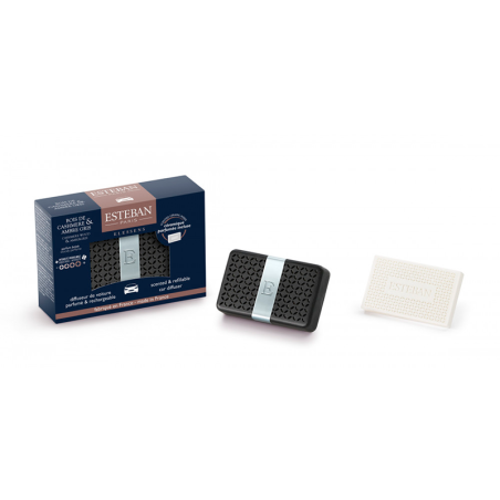 Scented Car Diffuser and Refill - Cashmere Wood & Ambergris