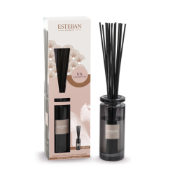 Bouquet Perfumado Inicial - Iris Cachemire