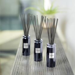 Bouquet Perfumado Inicial - Iris Cachemire