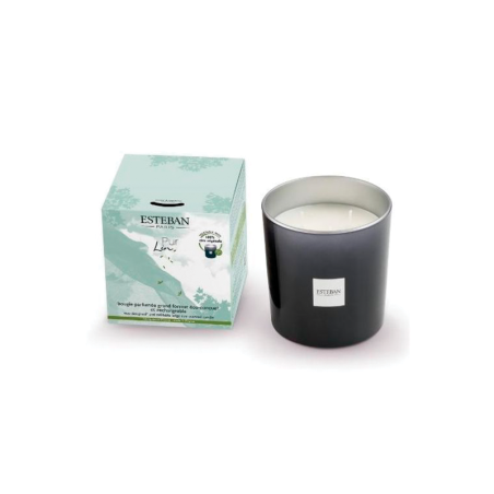 Refillable Large Scented Candle 450gr Pure Linen