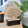My Perfume Tree Gift Set 200ml - Néroli