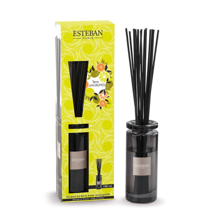 Scented Bouquet Initial 100ml - Terre d'Agrumes