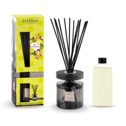 Scented Bouquet Ellipse 200ml - Terre d'Agrumes