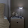 Bumble L Raw Oak - Wood