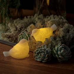 Set of 2 Sparrows in Led White - Erica