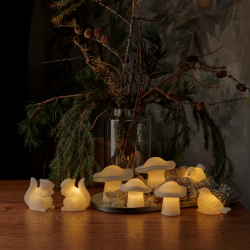 Set of 2 Mushrooms in Led White - Elisa