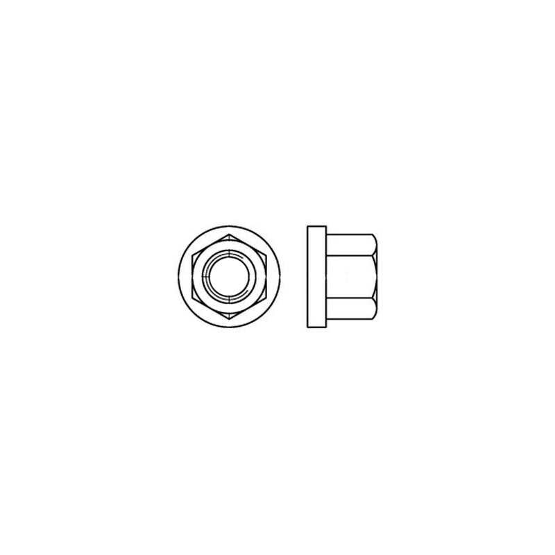 CHEMITOOL Hexagonal Nut with Flange 1,5D DIN 6331 M6 10 Without Finishing