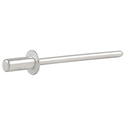 CHEMITOOL Seal Head Rivet DIN 7331A 4x10