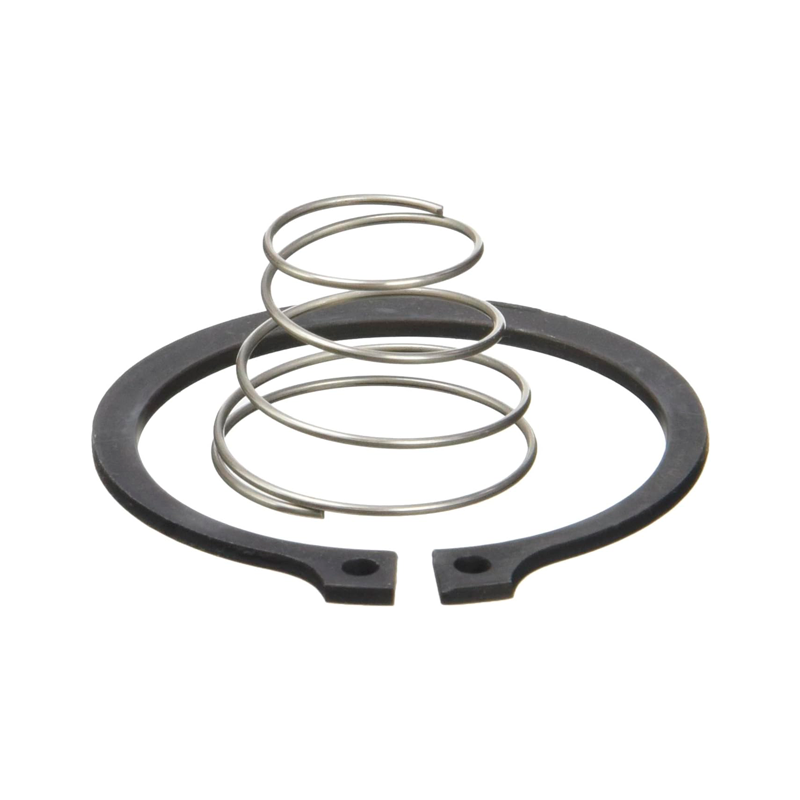 Muelle del Pasador de Tope 11168 RIDGID