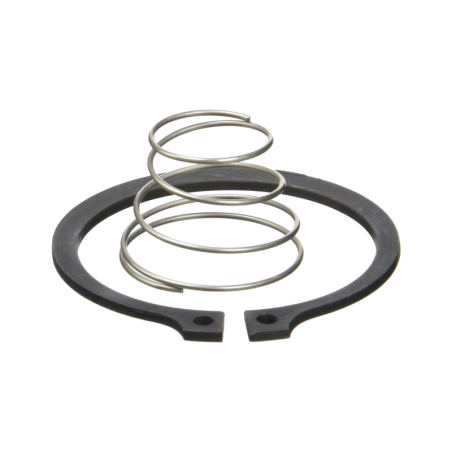 Muelle del Pasador de Tope 11168 RIDGID