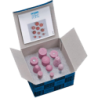 JOGO MOS MONTADAS 2001