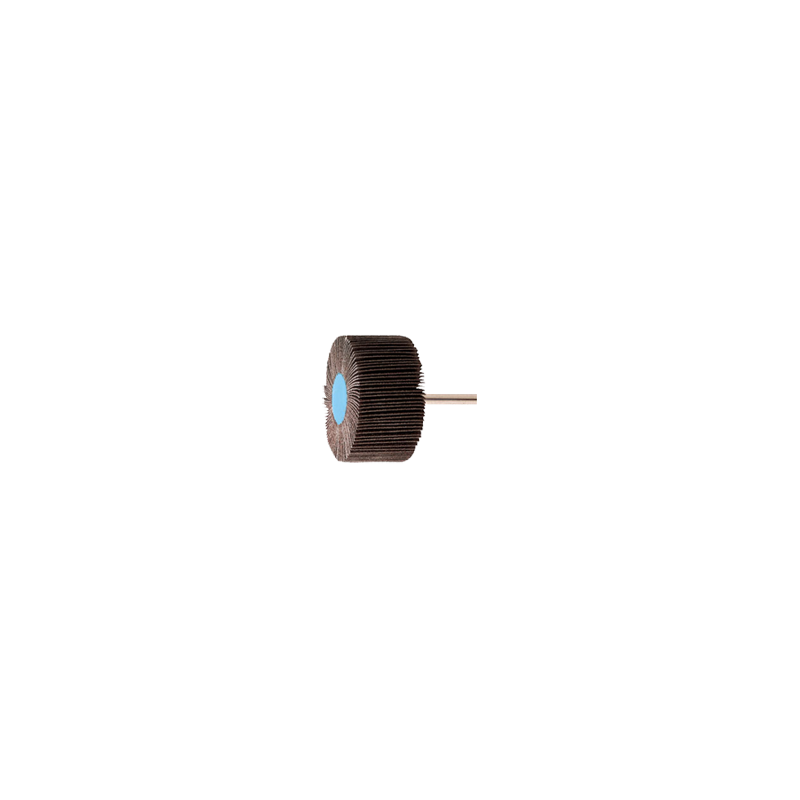 Rebolo De Lamelas Com Haste 6 x 40 mm Carbureto De Silício SiC PFERD G120 30 x 10 mm