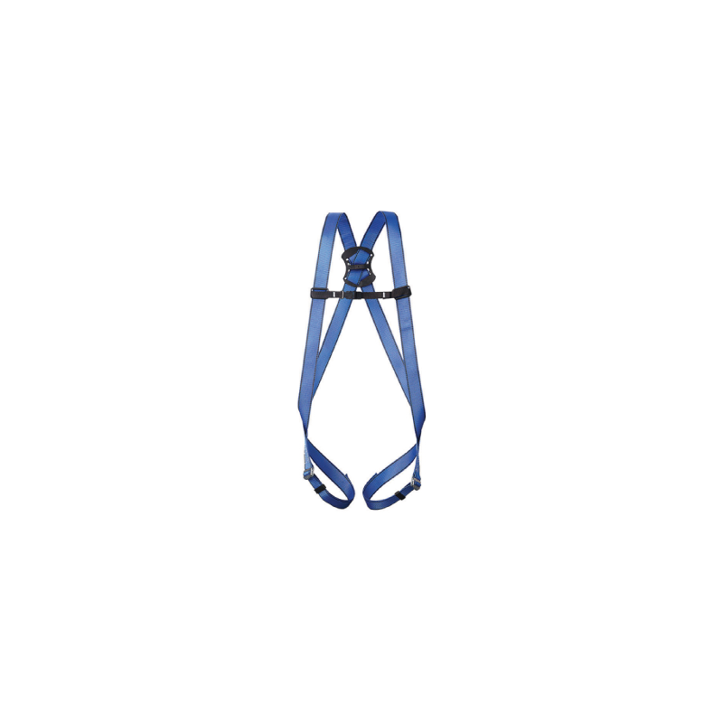CHEMITOOL Anti-Fall Harness