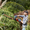 55cm 500W Hedge Trimmer with Saw Blade