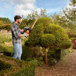 550W 60cm Hedge Trimmer with Saw Blade