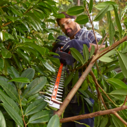 550W 60cm Hedge Trimmer with Saw Blade