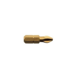 BIT PZ2