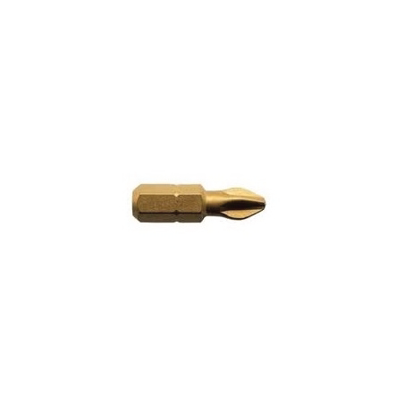 BIT PZ2