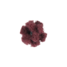 Estrellas Polinox PNST 19-2 A G 280 PFERD
