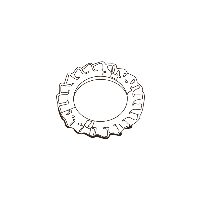 Arandelas Elasticas de Abanico con Dentado Exterior DIN 6798A M8 A2 Inox Passivado CHEMITOOL FASTENERS Arandelas Elasticas de Abanico con Dentado Exterior DIN 6798A M8 A2 Inox Passivado CHEMITOOL FASTENERS
