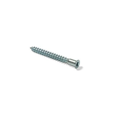 CHEMITOOL FASTENERS Zinc-plated Mounting Screw 5x50 LV028