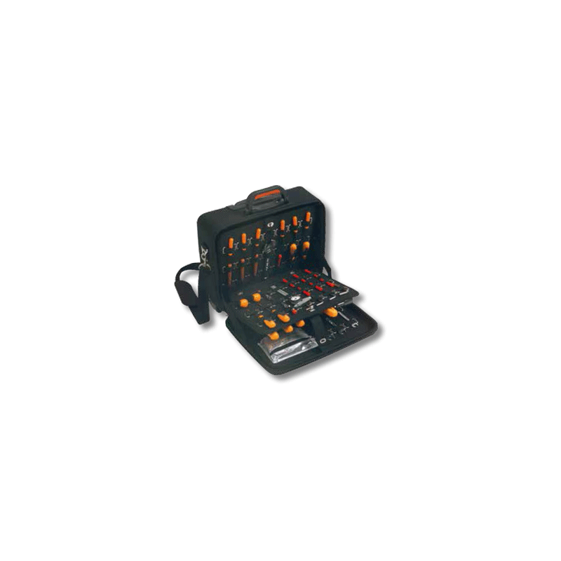 PLANO Bag Port Tools Professional (48x46x24)