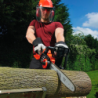 18V 2.0Ah Lithium-ion Cordless Chainsaw 25cm