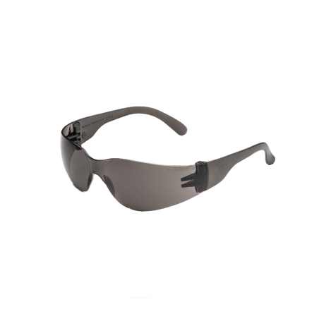 ÓCULOS DE PROTEÇÃO LENTES FUMADAS DE POL