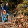 18V Cordless POWERCOMMAND Boost Leaf Blower
