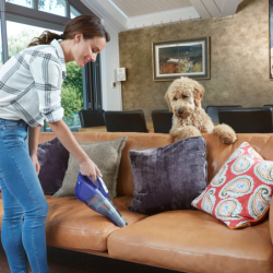 12V 1,5Ah Hand Vacuum Cleaner for Pets
