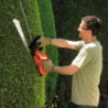 Corta-Sebes 18V 2.0Ah 45cm