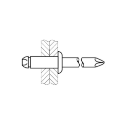 CHEMITOOL Blind Head Rivet 3,2x6 Aluminum/Steel