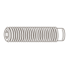 CHEMITOOL Hexagon Socket Set Srew With Dog Point DIN 915 M6X8 A2 Passivated Stainless Steel
