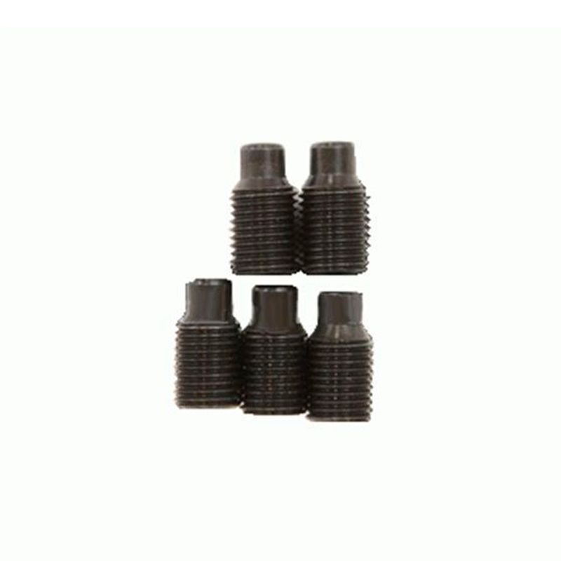 Conjunto de 5 Parafusos 35045 RIDGID Conjunto de 5 Parafusos 35045 RIDGID