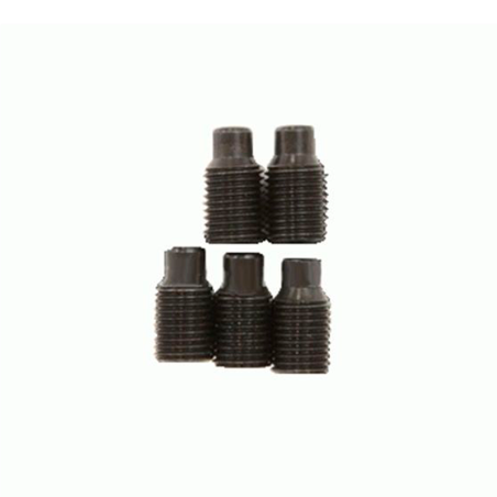 Conjunto de 5 Parafusos 35045 RIDGID