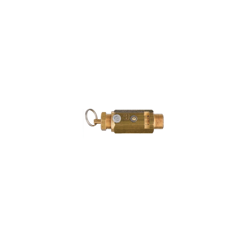 ANi Full Opening Safety Valve PED Certified 22/C/O