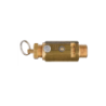 ANi Full Opening Safety Valve PED Certified 22/C/O