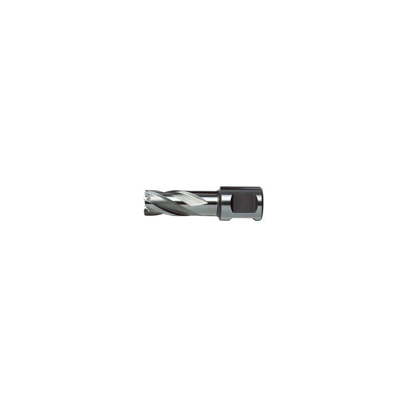 DeWALT 2X Centering Tip