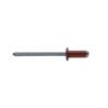 BRALO Aluminium/Steel Rivet C/B 3,2X08 Brown