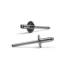 BRALO Standard Large Head Rivet Steel/Steel 4.8x30mm