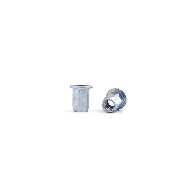 BRALO M10 Hexagonal Steel Nut Broad Head Open Bottom