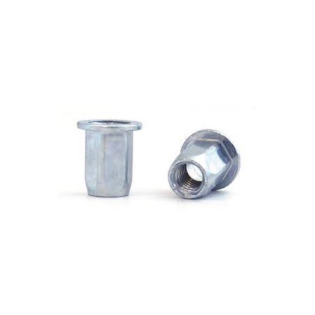 BRALO M10 Hexagonal Steel Nut Broad Head Open Bottom